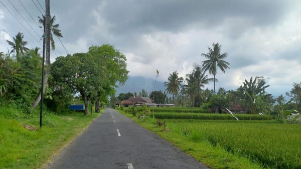 Desa dengan alam yang masih asri ini berhasil menjadi juara II dalam ajang Anugerah Desa Wisata Indonesia (ADWI) 2022. Meski tampak sangat alami, namun desa ini tak jauh dari pusat kota Singaraja. Foto: Istimewa