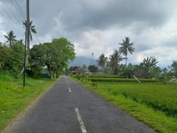 Lokasi Desa Wisata Sudaji tidak terlalu jauh dari pusat Kota Singaraja. Di mana untuk sampai Desa Wisata Sudaji, hanya memerlukan waktu tempuh selama 30 menit menggunakan sepeda motor atau sekitar 15 kilometer. Foto: Istimewa