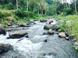 Desa Wisata Sudaji juga memiliki panorama alam sungai dengan aliran air yang begitu jernih, yang disebut bendungan Gandameru. Aliran air dari sungai ini begitu jernih dan menyegarkan, sebab berasal langsung dari air terjun di Desa Lemukih dan Desa Sekumpul. Foto: Istimewa