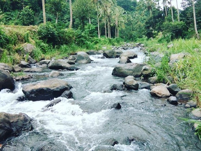 Pesona Desa Wisata Sudaji, Buleleng, Bali.