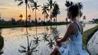 Desa Wisata Sudaji merupakan desa wisata yang menarik minat wisatawan karena pemandangan alam yang indah. Desa ini terletak di Kecamatan Sawan, Kabupaten Buleleng. Foto: Istimewa