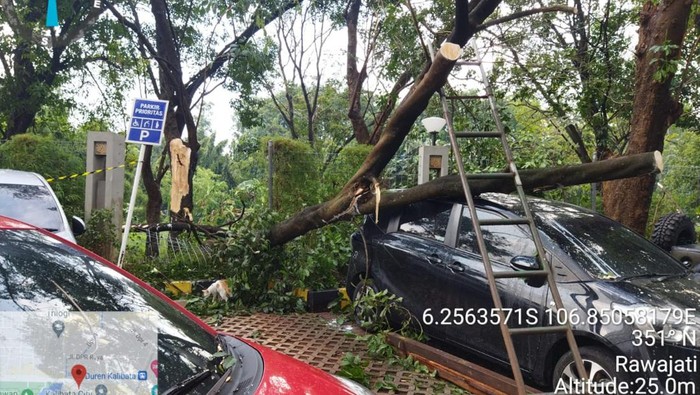 Pohon tumbang timpa mobil di parkiran Apartemen Kalibata City (dok.istimewa)
