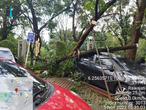 Pohon Tumbang Timpa 7 Mobil di Area Parkir Apartemen Kalibata City