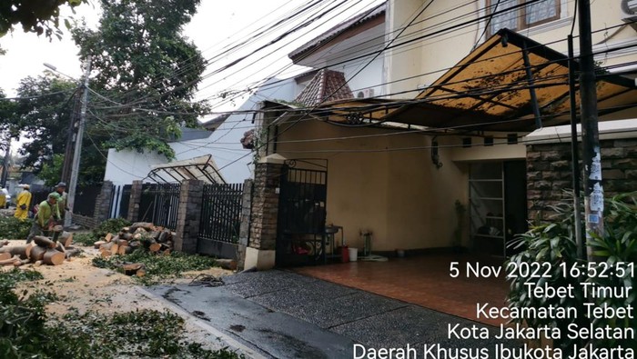 Pohon tumbang timpa rumah di Tebet (dok.istimewa)