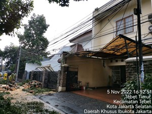 20 Pohon Tumbang Akibat Hujan Disertai Angin Kencang di Jaksel