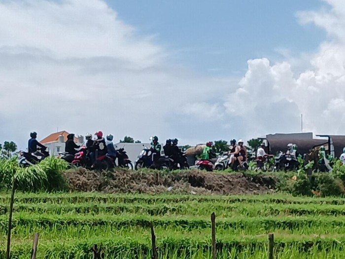 Salah langkah sedikit saja, pengendara akan terjebak kemacetan di jalur pematang sawah Canggu. Atau malah masuk jatuh ke sawah yang ada di sepanjang jalur tersebut. Foto: Triwidiyanti