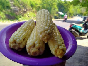 Bahagia Itu Sederhana: Makan Jagung Rebus With A View di Dompu