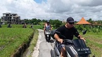 Pantauan detikBali di lokasi, Sabtu (5/11/2022), tidak hanya warga lokal, namun turis asing pun nekat melewati jalan di tengah sawah itu. Foto: Triwidiyanti
