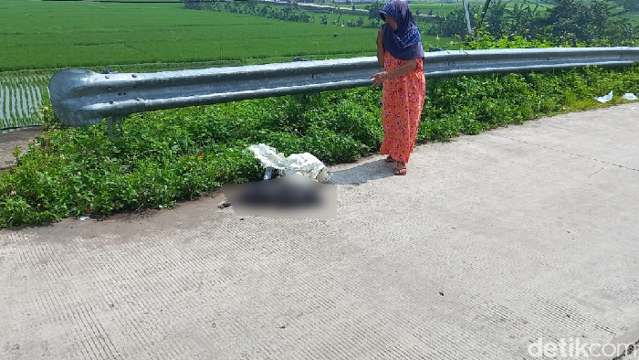 Warga Melihat Bangkai Kelinci Raksasa dibuang di Pinggir Jalan Margaasih
