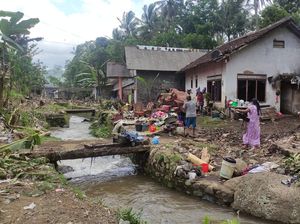 Penyebab Banjir Bandang di Kalibaru Banyuwangi Alih Fungsi Lahan