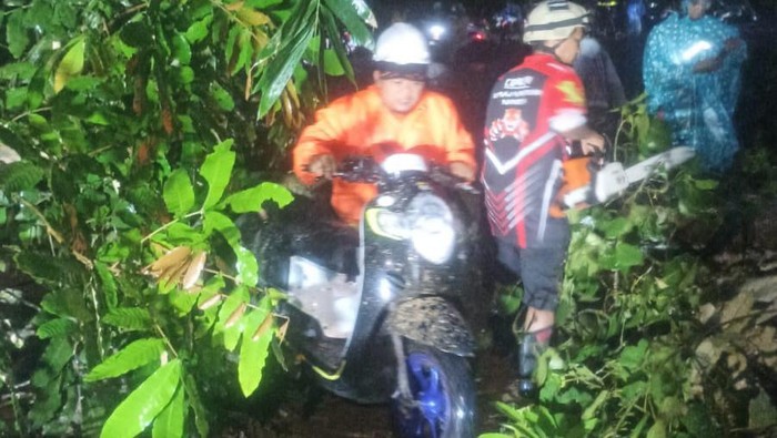 Gumitir Jember longsor
