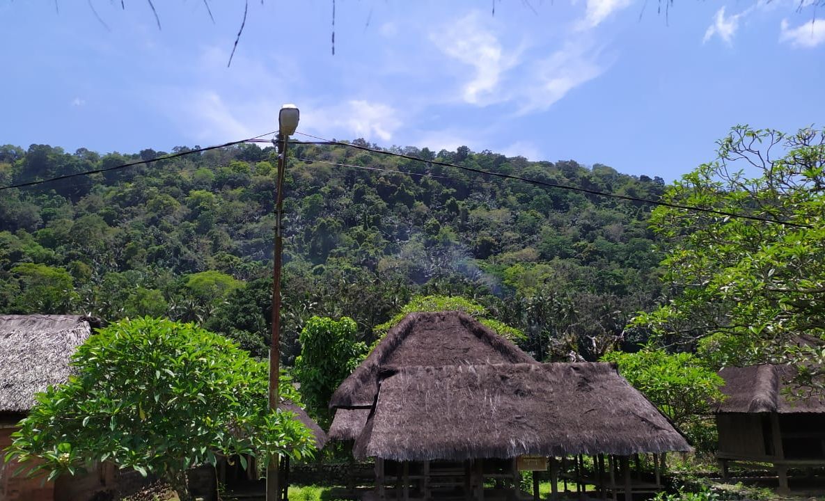 Hutan Desa Tenganan Pegringsingan. (Foto: I Wayan Selamat Juniasa/detikBali)