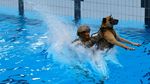 Mengintip Latihan Pasukan Elite Antiteror KSK Jerman