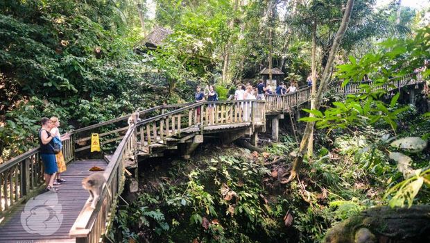 Monkey Forest Ubud, Gianyar, Bali.
