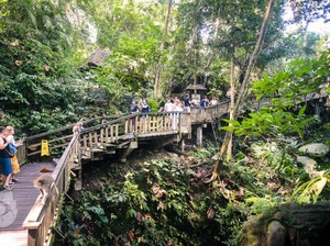 Monkey Forest Ubud: Jam Buka, Harga Tiket, Fasilitas