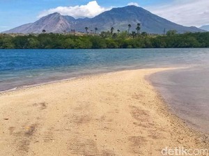 Pesona Eksotis Pantai Lidah Sejile Berlatar Gunung Baluran Wajib Dikunjungi