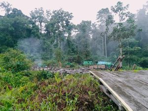 KKB Papua Pimpinan Bocor Sobolim Bunuh Warga karena Tak Dikasih Wanita-Upeti