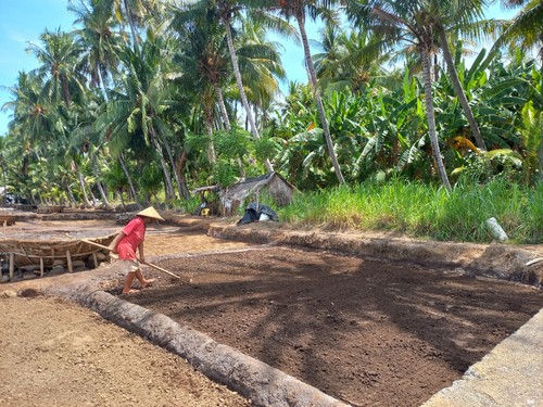 Proses pembuatan garam tradisional Desa Les, Kecamatan Tejakula, Buleleng, Bali.