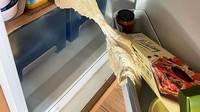 Waduh… Kali ini seorang netizen dibuat terkejut karena adonannya terlalu mengembang hingga menempel di beberapa bagian kulkas. Foto: boredpanda.com