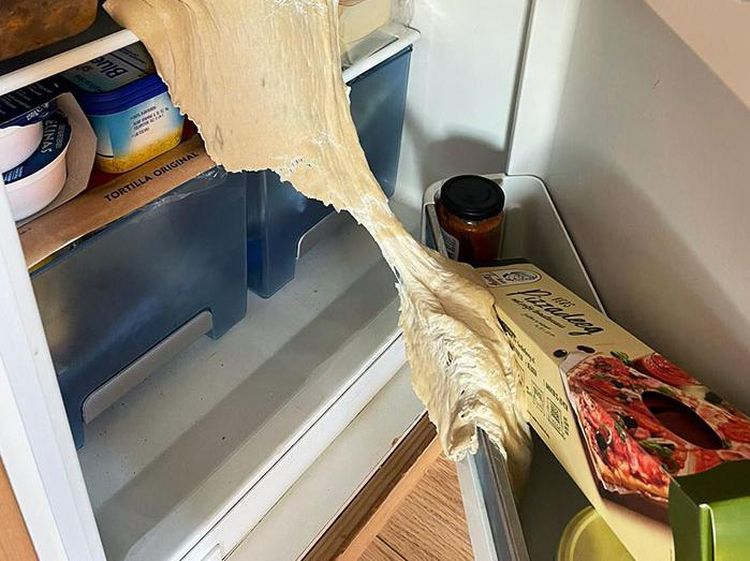 Zonk! Ini 10 Momen Kocak Netizen yang Gagal Saat Masak