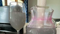 Rencananya, netizen ini ingin membuat minuman lemonade segar yang dimodifikasi dengan warna ungu. Namun hasilnya justru seperti air kotor ya? Foto: boredpanda.com