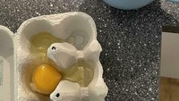 Hmm… Akibat kurang fokus, akhirnya netizen ini memecahkan telur bukan di mangkuk, melainkan di bungkusan kardus. Foto: boredpanda.com