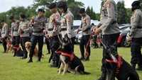 Detasemen K-9 juga hadir dalam apel pengamanan KTT G20 di Bali.