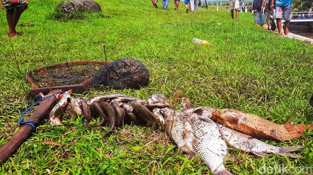 asatan di bendungan sampean baru