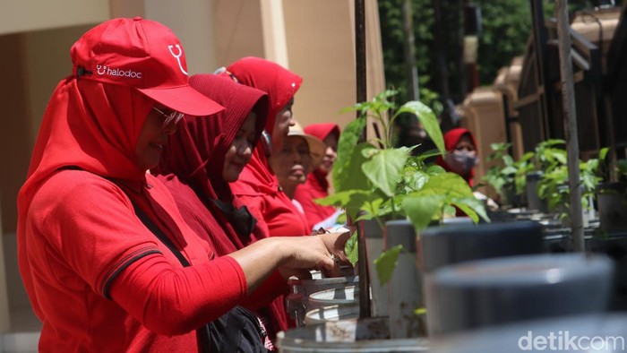 Emak-emak warga Kecamatan Babakan Ciparay semangat untuk bercocok tanam di Buruan SAE (Sehat, Alami, Ekonomis) Mamatahan.