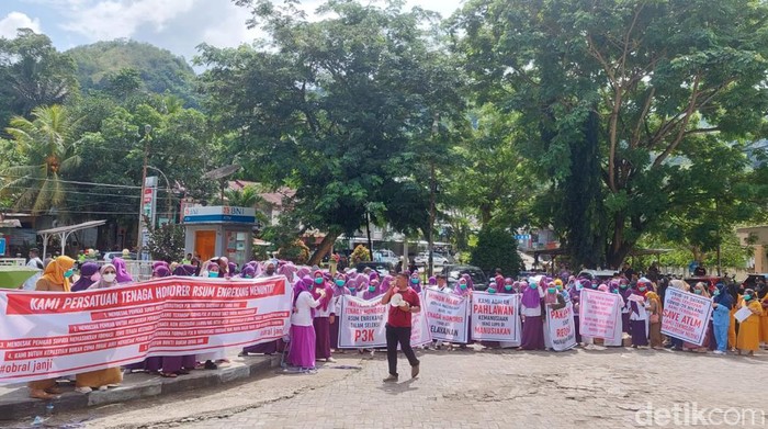 Sebanyak 227 tenaga kesehatan honorer RSUD Massenrempulu di Kabupaten Enrekang, Sulawesi Selatan (Sulsel) mogok bekerja.