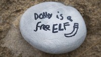 Dikutip dari BBC, pihak pengelola Pantai Freshwater West, National Trust Wales, menyampaikan tentang kekhawatiran mereka terkait jumlah pengunjung yang datang ke tempat pemakaman Dobby tersebut akan semakin membludak dan menyebabkan polusi.  