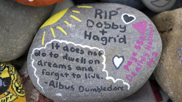 Pihak pengelola pantai mendorong pengunjung untuk melindungi lingkungan dengan tidak meninggalkan barang di tempat memorial itu. Para pengunjung hanya diizinkan untuk mengambil foto tanpa meninggalkan sesuatu untuk Dobby yang dapat menyebabkan kerusakan alam.  