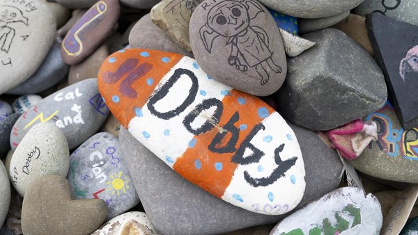 Pengunjung banyak yang meninggalkan kerikil warna-warni dengan tulisan RIP Dobby menggunakan spidol permanen. Pihak pengelola menghimbau pengunjung mengurangi aksi tersebut.  