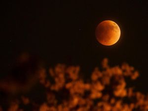 Mau Lihat Gerhana Bulan Total di Planetarium UIN Semarang? Ini Cara Daftarnya