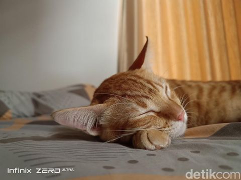 Hasil foto Infinix Zero Ultra
