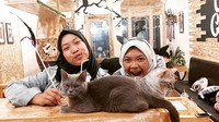 Selain wisata pantainya, di Bali juga ada kafe kucing yang selalu ramai pelanggan bernama The Odd Cat Cafe. Kucing-kucing lokal yang ada di sini sengaja dipelihara untuk menemani orang-orang yang datang untuk minum kopi. Foto: Instagram