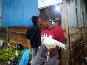 Pria Hilang di Hutan Labuan Bajo Ditemukan Lemas Usai Ritual Ayam Putih