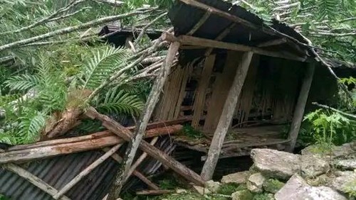 Kondisi rumah yang hancur ditimpa pohon di Sumba Tengah, Minggu sore (6/11/2022).