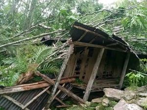 Kisah Pilu Pasutri 5 Anak yang Rumahnya Hancur Tertimpa Pohon