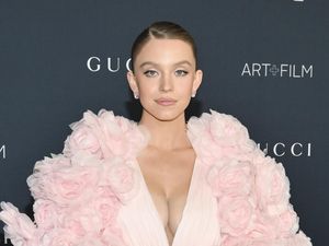 Sydney Sweeney Digigit Laba-laba, tapi Bukan di Madame Web