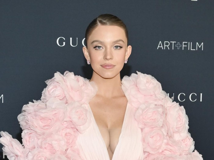 LOS ANGELES, CALIFORNIA - NOVEMBER 05: Actress Sydney Sweeney attends the 11th Annual LACMA Art+Film Gala at Los Angeles County Museum of Art on November 05, 2022 in Los Angeles, California. (Photo by Robert Smith/Patrick McMullan via Getty Images)