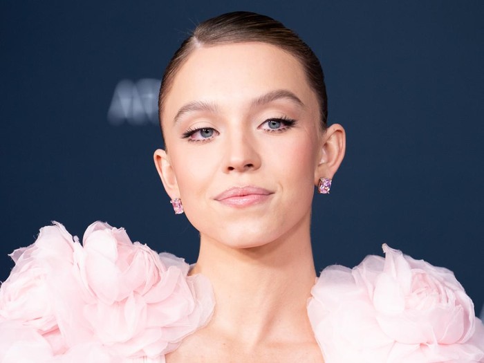 LOS ANGELES, CALIFORNIA - NOVEMBER 05: Actress Sydney Sweeney attends the 11th Annual LACMA Art+Film Gala at Los Angeles County Museum of Art on November 05, 2022 in Los Angeles, California. (Photo by Robert Smith/Patrick McMullan via Getty Images)