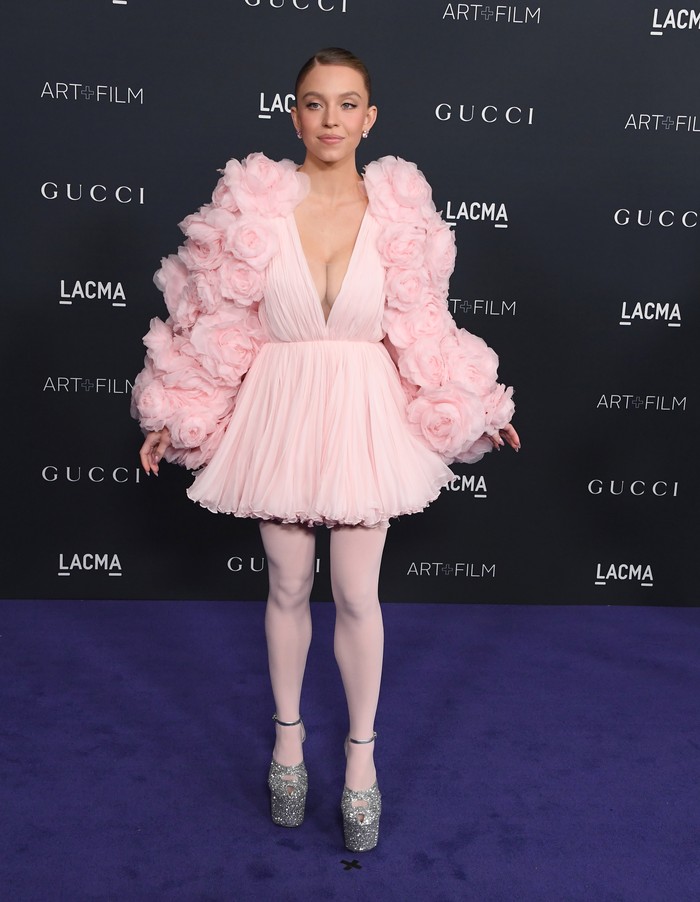 LOS ANGELES, CALIFORNIA - NOVEMBER 05: Actress Sydney Sweeney attends the 11th Annual LACMA Art+Film Gala at Los Angeles County Museum of Art on November 05, 2022 in Los Angeles, California. (Photo by Robert Smith/Patrick McMullan via Getty Images)