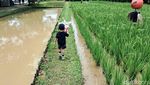 Taman di Tengah Kota yang Asyik untuk Liburan Keluarga