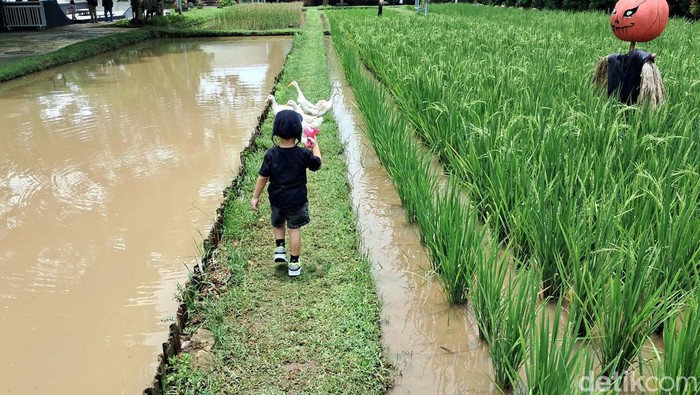 Mengisi libur akhir pekan yang bermanfaat tentunya jadi waktu yang sangt berharga. Nggak usah jauh-jauh, maen ditengah kota juga bisa asyik kok sambil ajak keluarga.