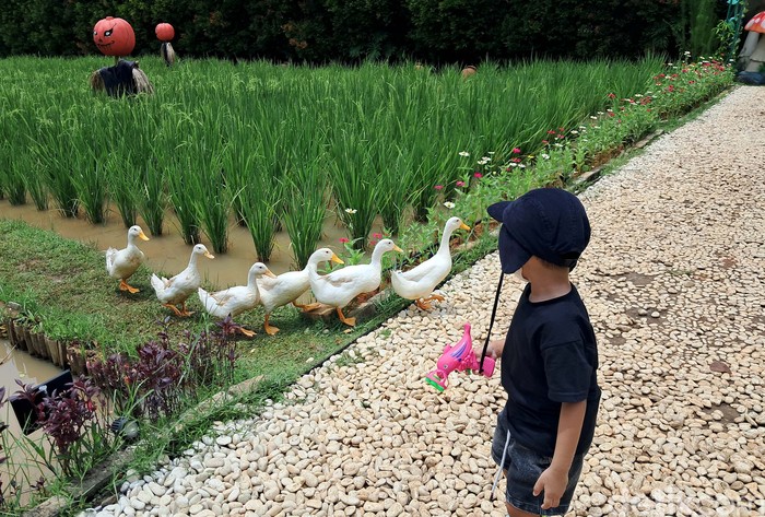 Keluarga berlibur di taman kota dengan anggaran terbatas