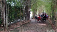 Untuk harga tiket masuknya juga terbilang cukup relatif, mulai dari Rp45.000 untuk weekdays dan Rp90.000 untuk weekend. Jam operasional Scientia Square Park ini juga dimulai pagi hari pukul 08.00 pagi hingga 19.00 malam.