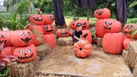 Karena saat tim detikTravel berkunjung tak jauh dari momen perayaan Halloween, maka tak heran pernak-pernik yang disajikan juga penuh dengan ornamen labu berwarna orange lengkap dengan ekspresi yang menyeramkan itu. Meskipun demikian anak-anak juga tampak tetap asyik menikmati tuh.