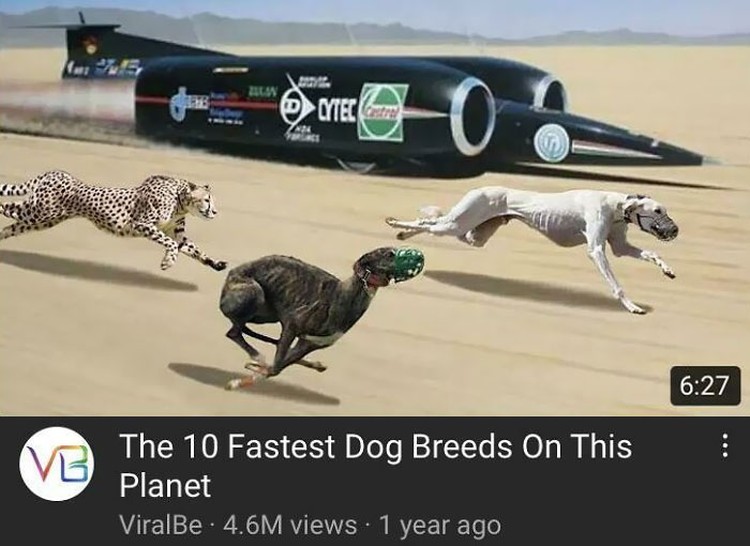 Thumbnail video bikin ngakak