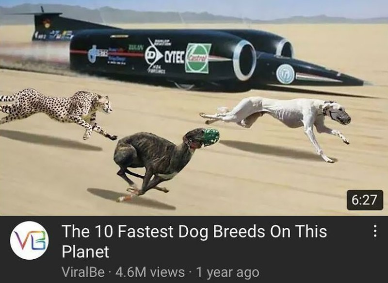 Thumbnail video bikin ngakak
